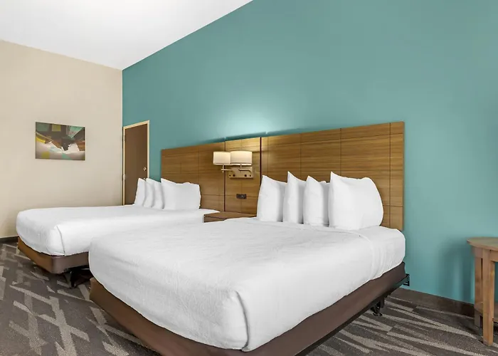 Hotel Western Hotel&suites